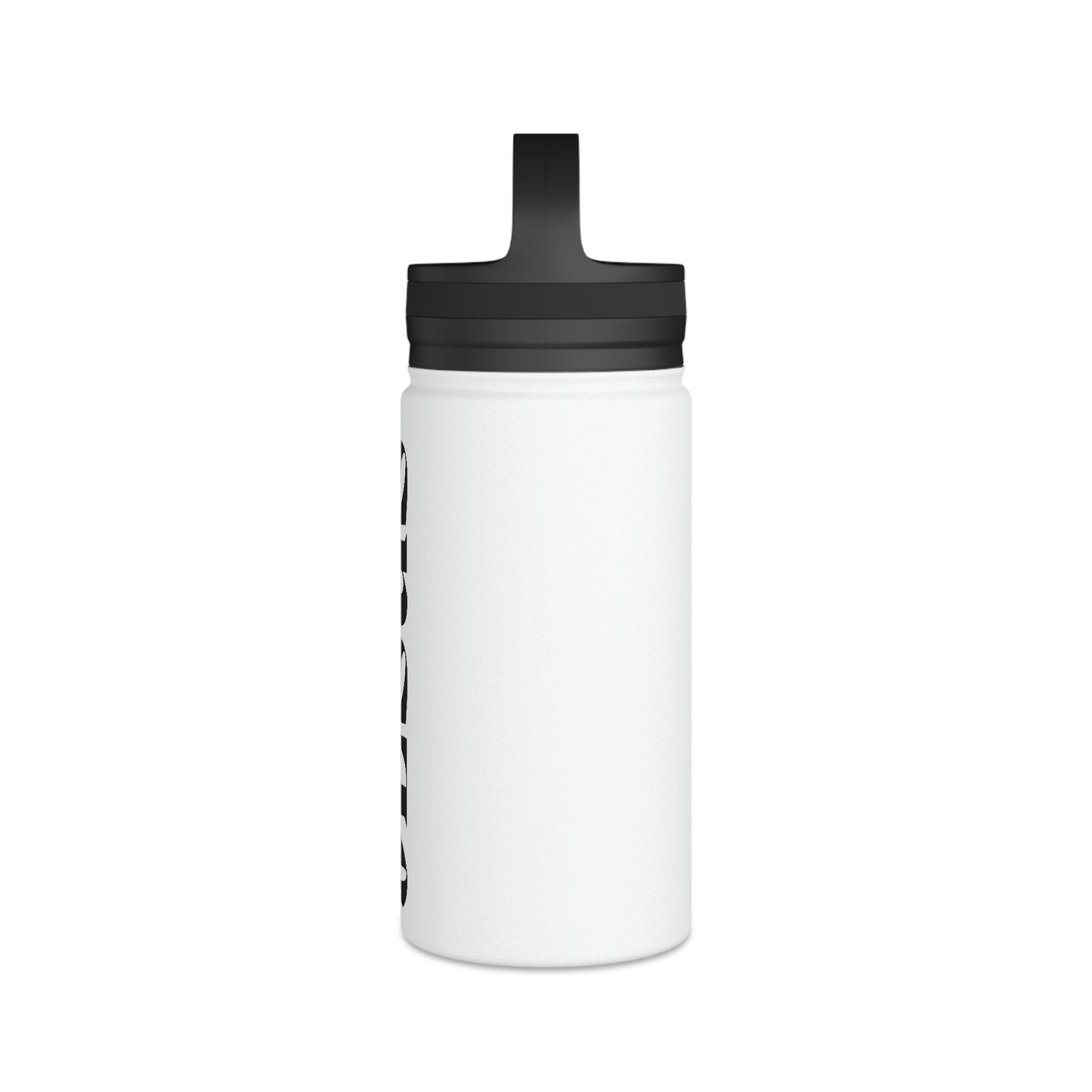 Stainless Steel Water Bottle, Handle Lid